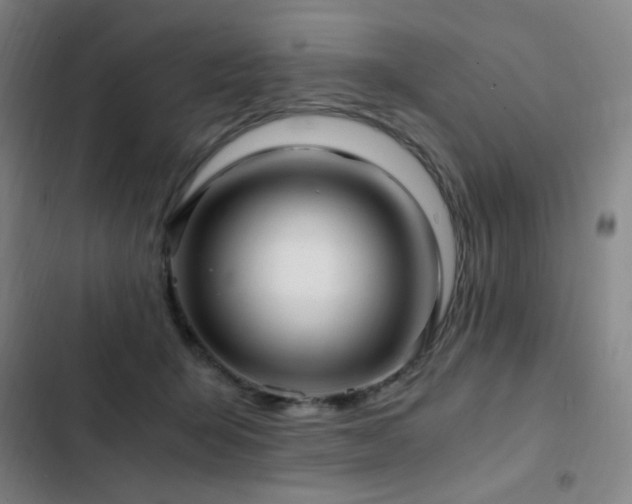 X0000103310415200808291433