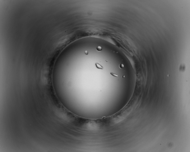 X0000103310416200808291433