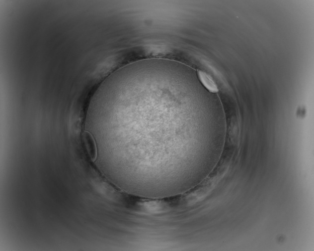 X0000103310417200808291433