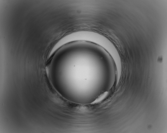 X0000103310419200808291433