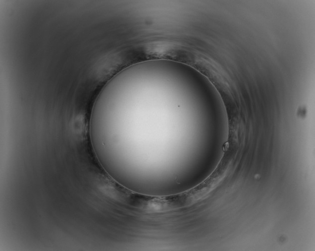 X0000103310420200808291433