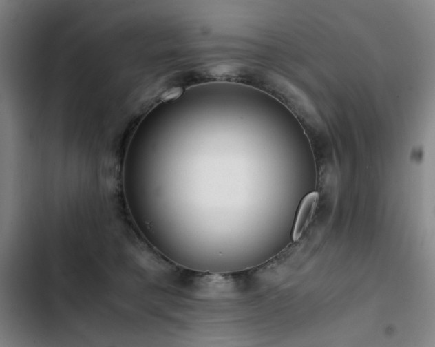 X0000103310421200808291433