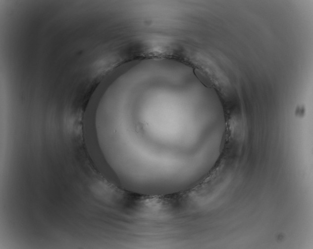 X0000103310423200808291433
