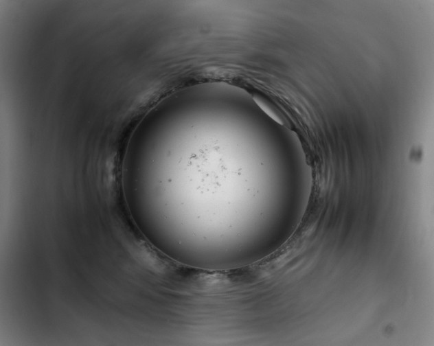 X0000103310424200808291433