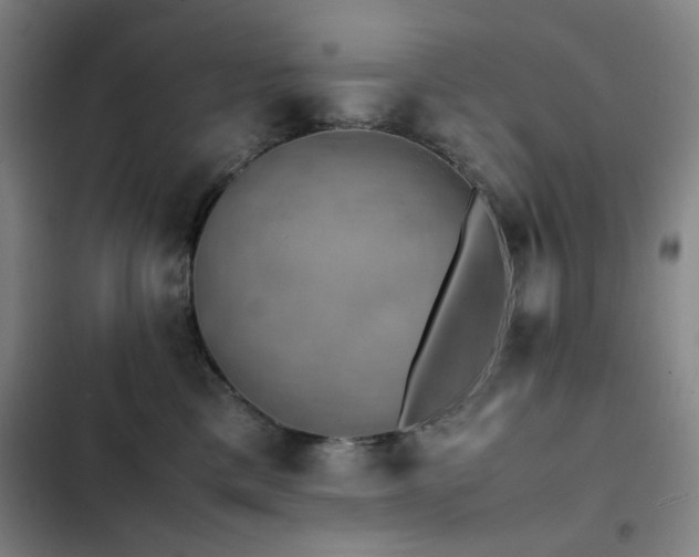 X0000103310425200808291433