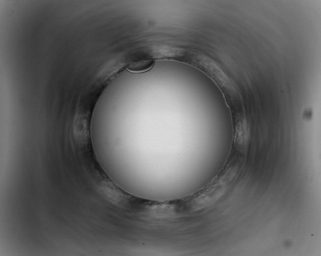 X0000103310426200808291433