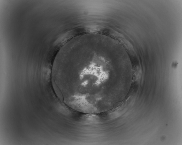 X0000103310427200808291433