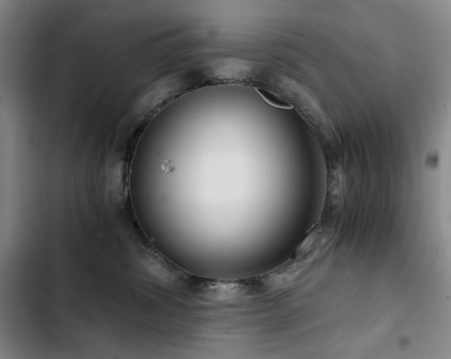 X0000103310428200808291433