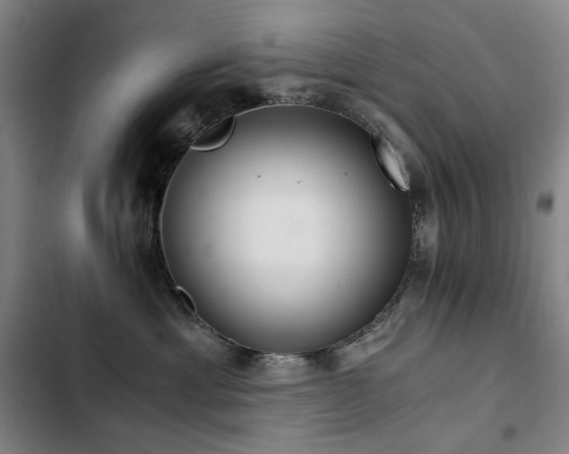 X0000103310429200808291433