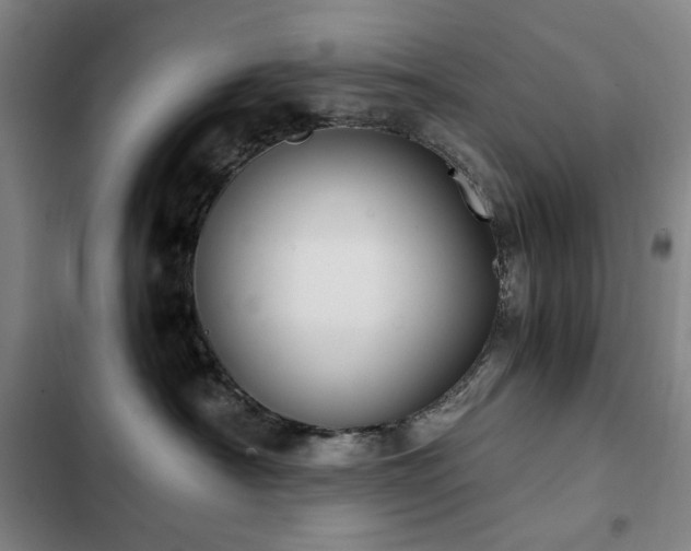 X0000103310430200808291433
