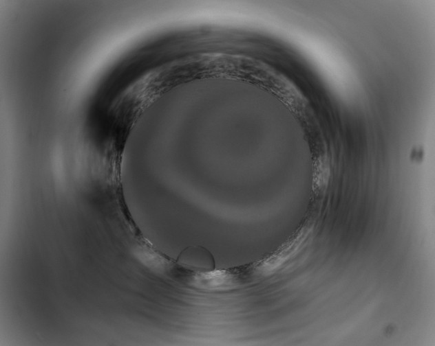 X0000103310431200808291433