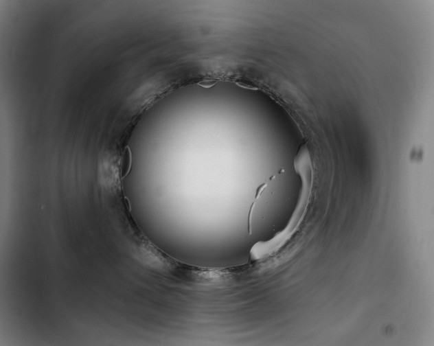 X0000103310432200808291433