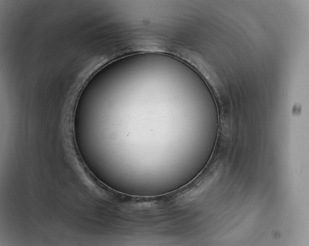 X0000103310433200808291432