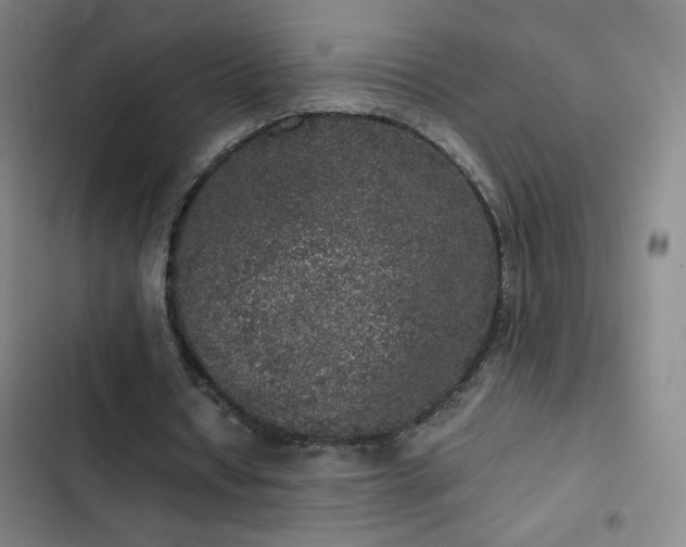 X0000103310434200808291432