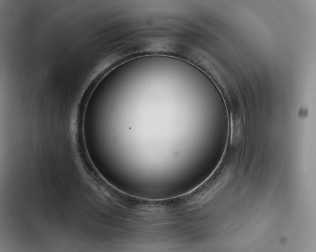 X0000103310435200808291432