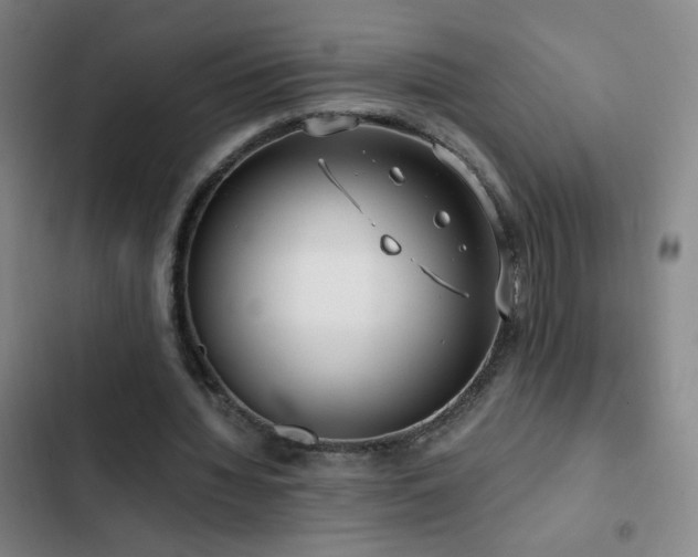 X0000103310436200808291432