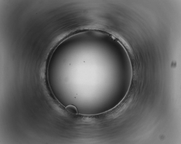 X0000103310437200808291432