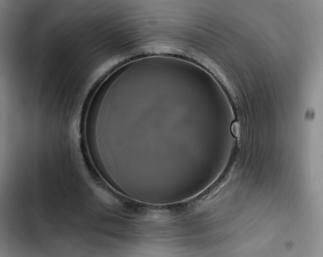 X0000103310438200808291432