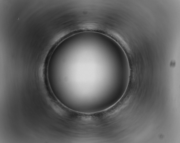 X0000103310439200808291432