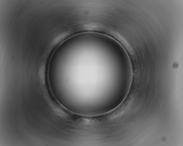 X0000103310442200808291432