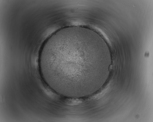 X0000103310443200808291432