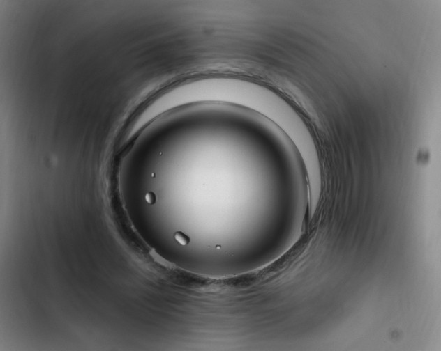 X0000103310444200808291432