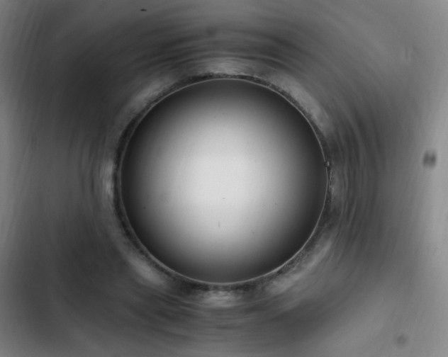 X0000103310445200808291432