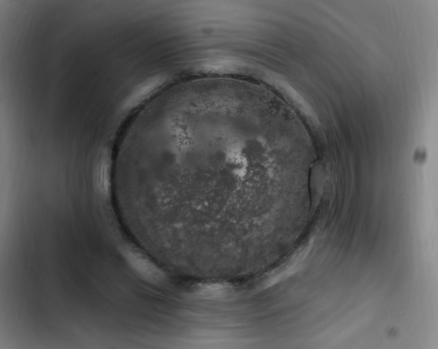 X0000103310446200808291432