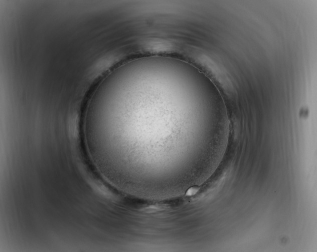 X0000103310447200808291432