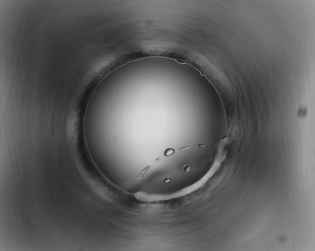 X0000103310448200808291432