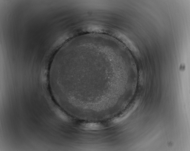 X0000103310449200808291432