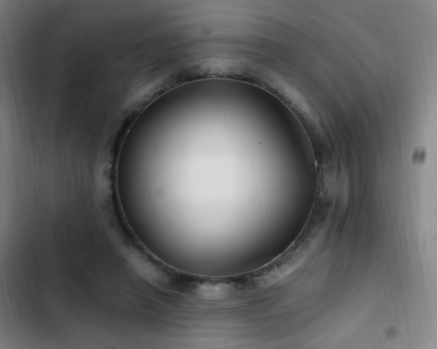 X0000103310450200808291433