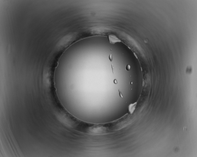 X0000103310452200808291433
