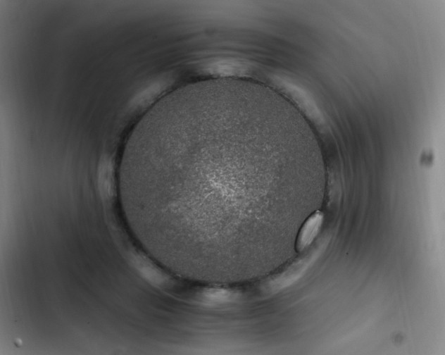 X0000103310453200808291433