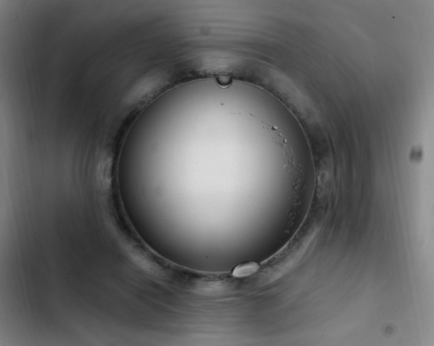X0000103310454200808291433