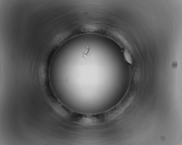 X0000103310455200808291433