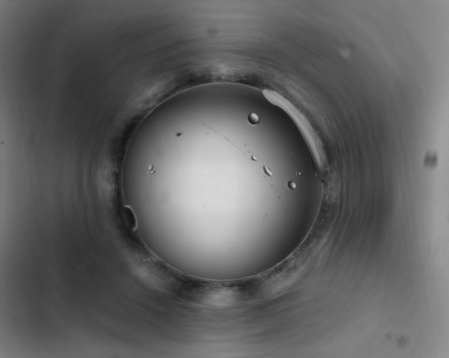 X0000103310456200808291433
