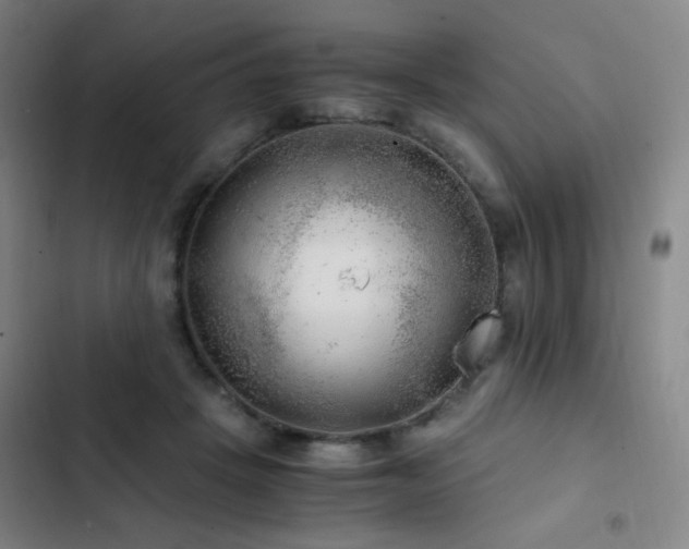 X0000103310457200808291433