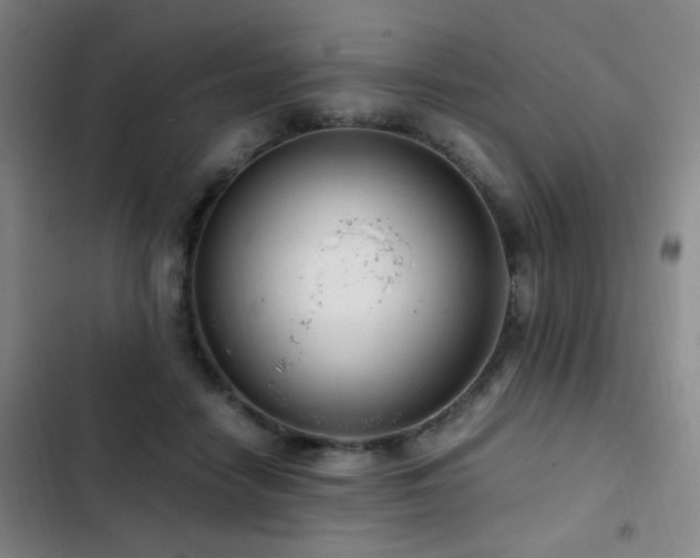 X0000103310458200808291433