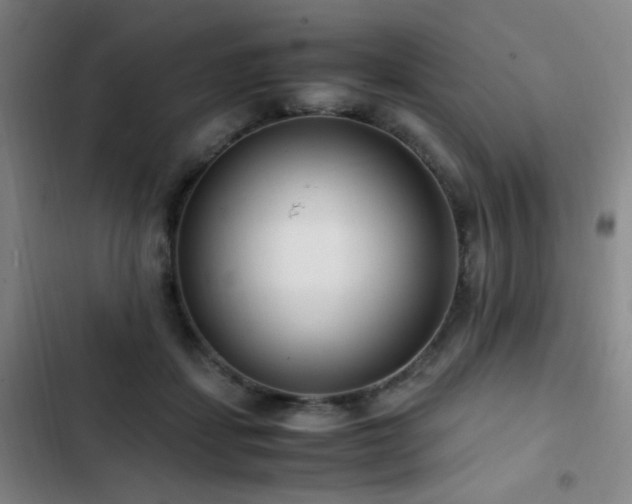 X0000103310459200808291433