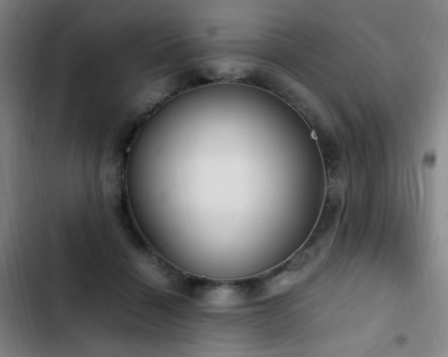 X0000103310460200808291433