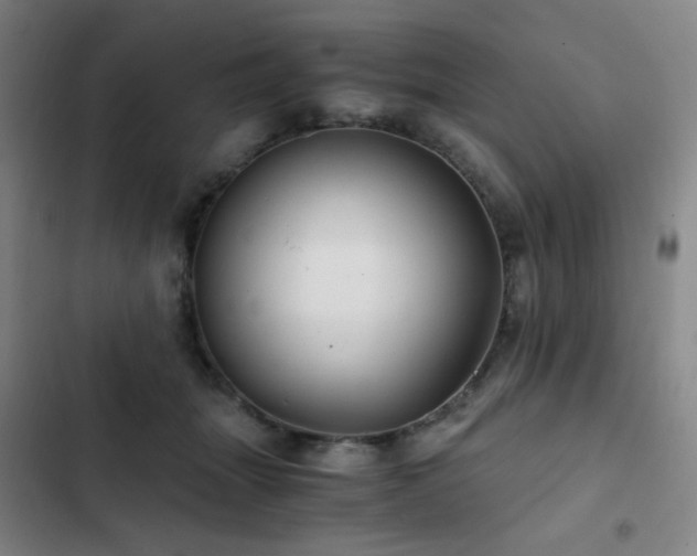 X0000103310463200808291433