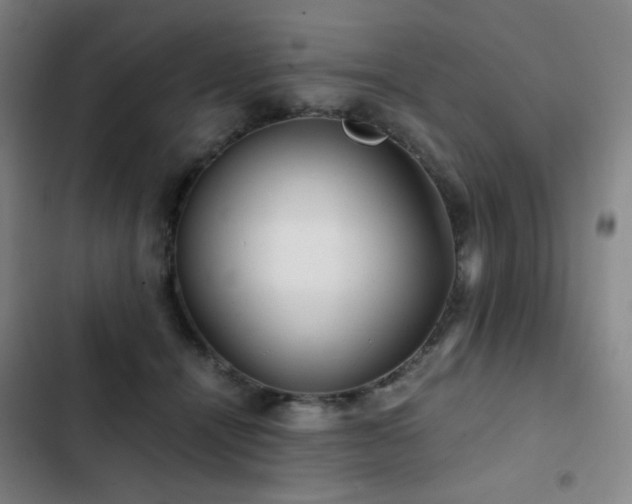 X0000103310464200808291433