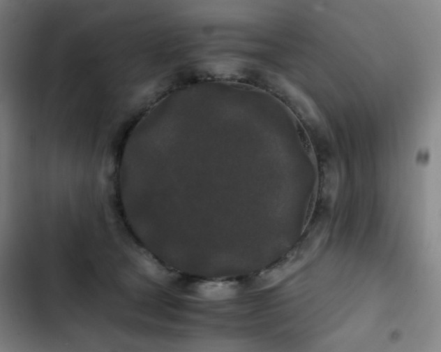 X0000103310465200808291433