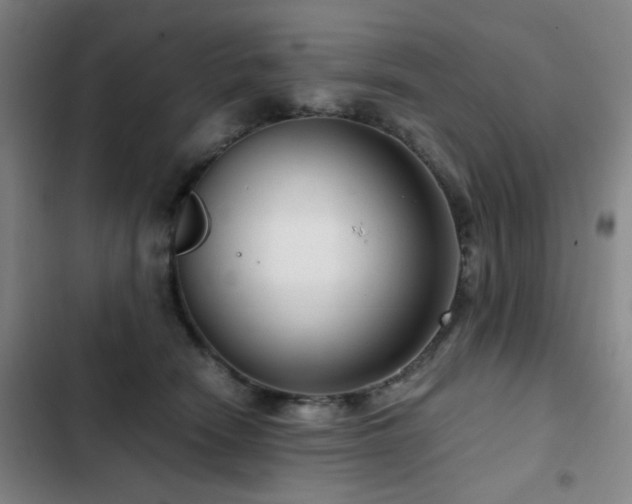 X0000103310466200808291433