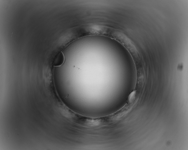 X0000103310469200808291433