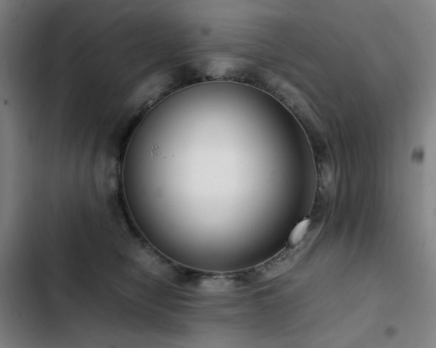 X0000103310470200808291433