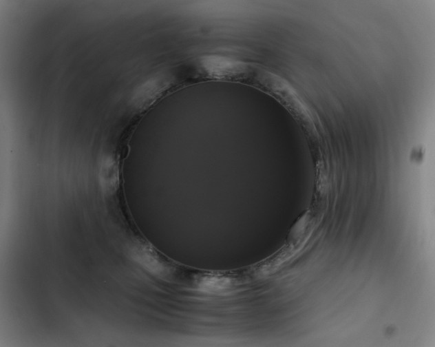 X0000103310471200808291433