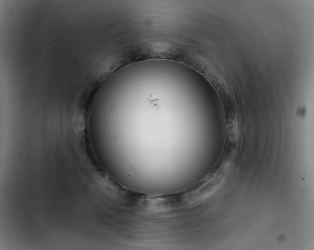 X0000103310472200808291433