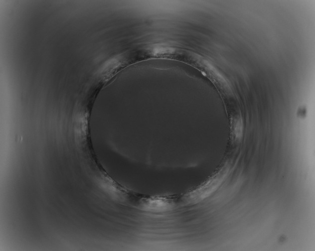 X0000103310475200808291433